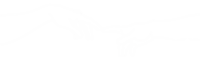 białe logo touch